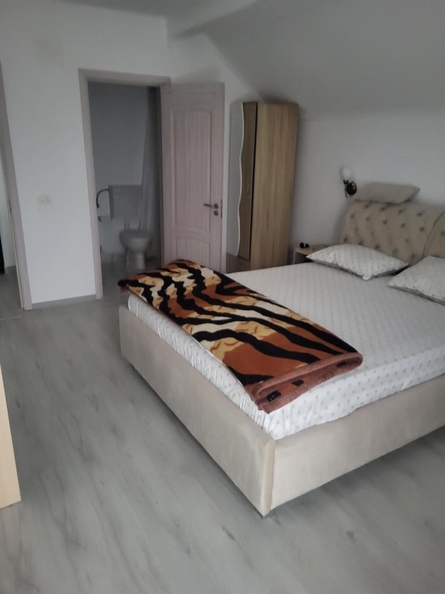 Vila Mae Star Куртя-де-Арджеш Экстерьер фото